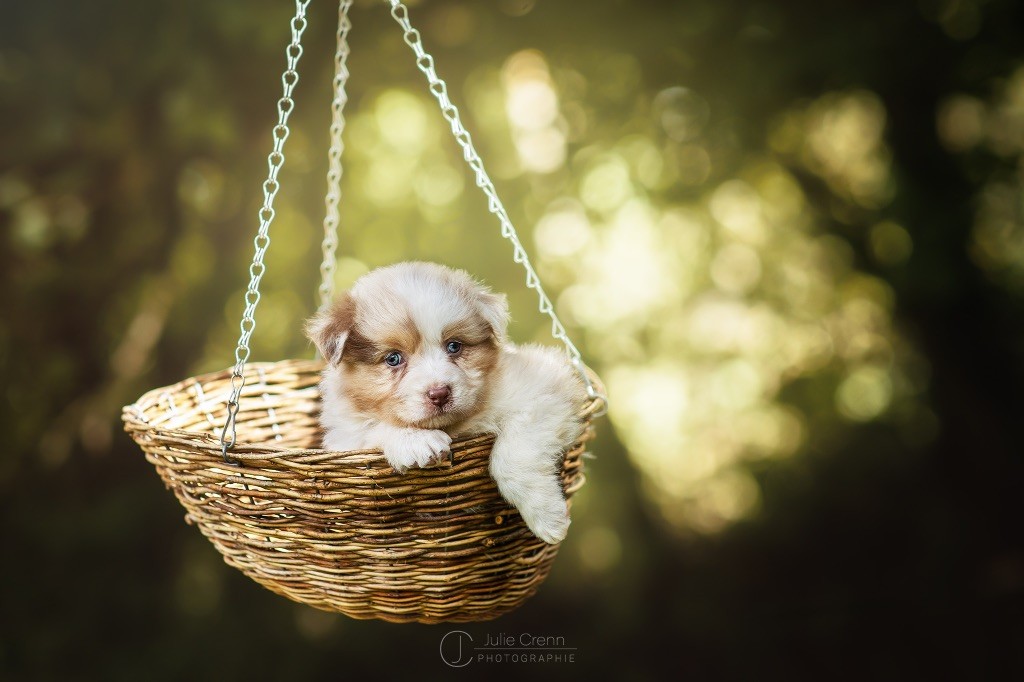 River lea du chemin des korrigans