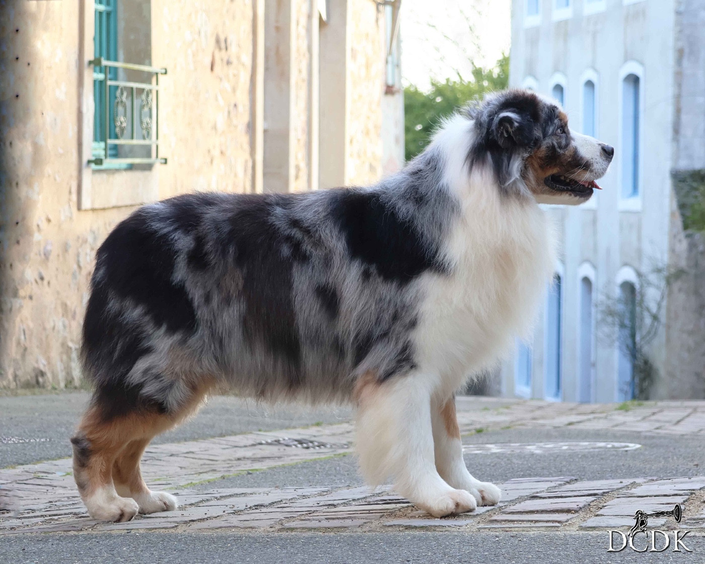 Pandora's box du chemin des korrigans