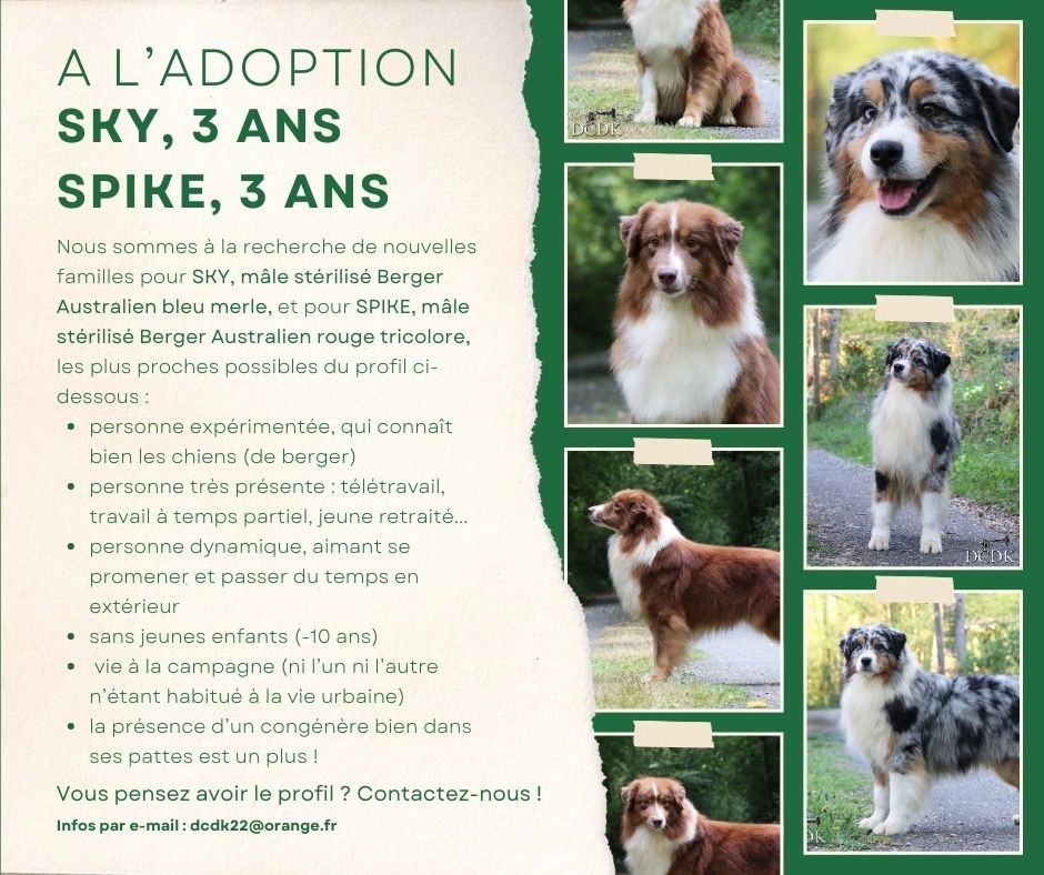 Adoptions