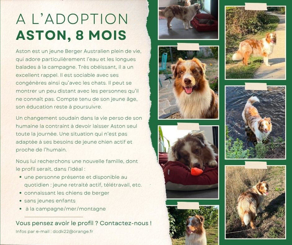 A l'adoption